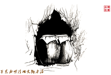 1589856546447744.jpg 3罕見(jiàn)的明清活文物老酒.jpg