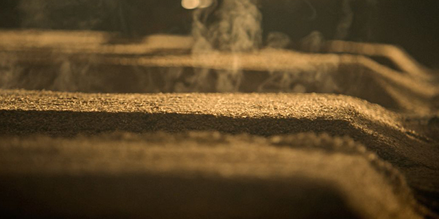 1590033305178858.jpg 11.jpg