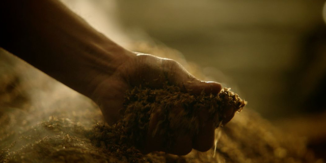 1590033315462954.jpg 10.jpg