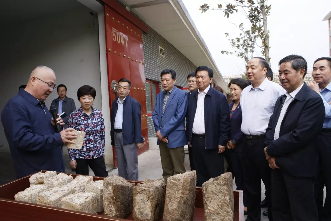 1598498113858656.jpg 肖超英調(diào)研.webp.jpg